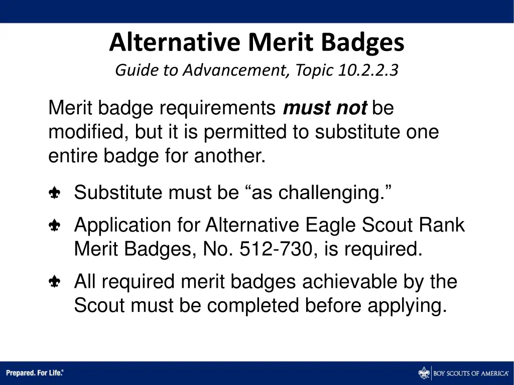 alternative merit badges guide to advancement