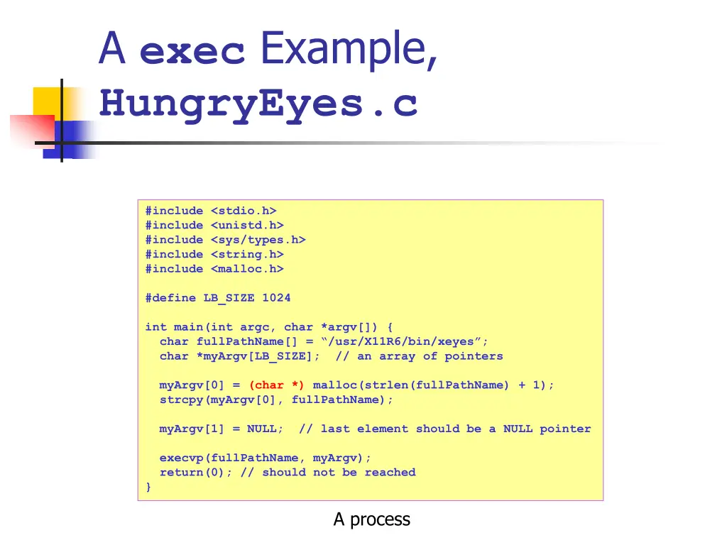 a exec example hungryeyes c 4