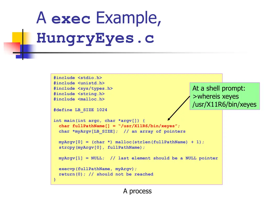a exec example hungryeyes c