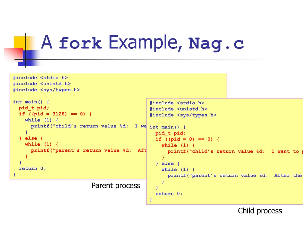 a fork example nag c 4