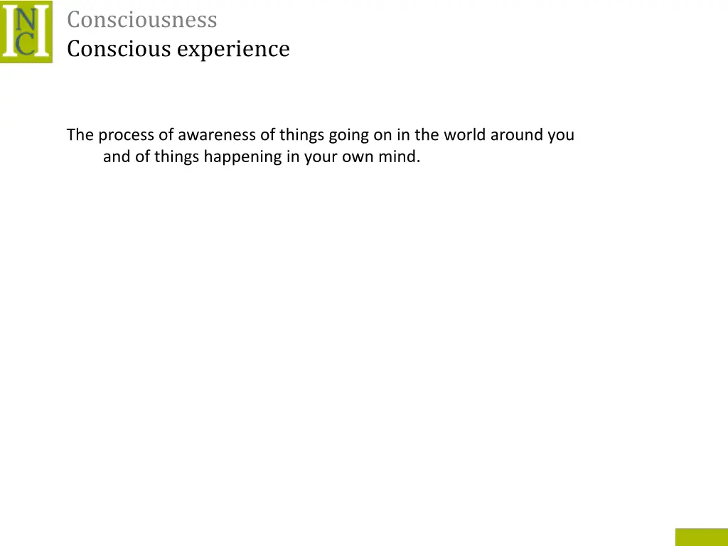 consciousness conscious experience