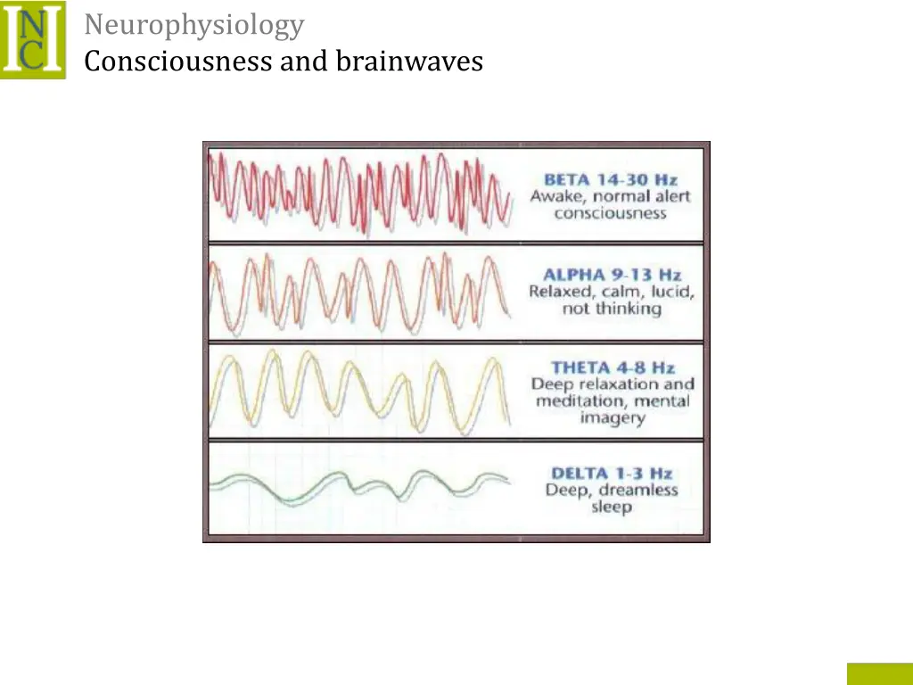 neurophysiology consciousness and brainwaves