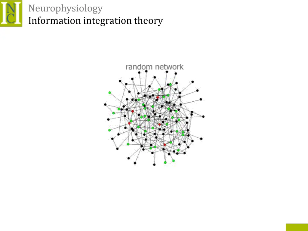 neurophysiology information integration theory 1