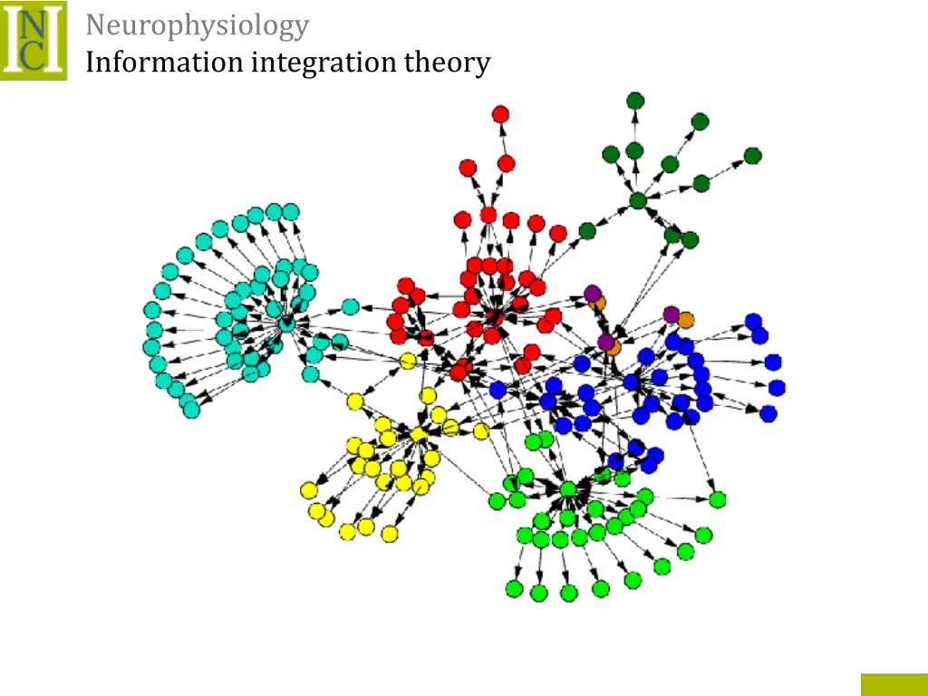 neurophysiology information integration theory