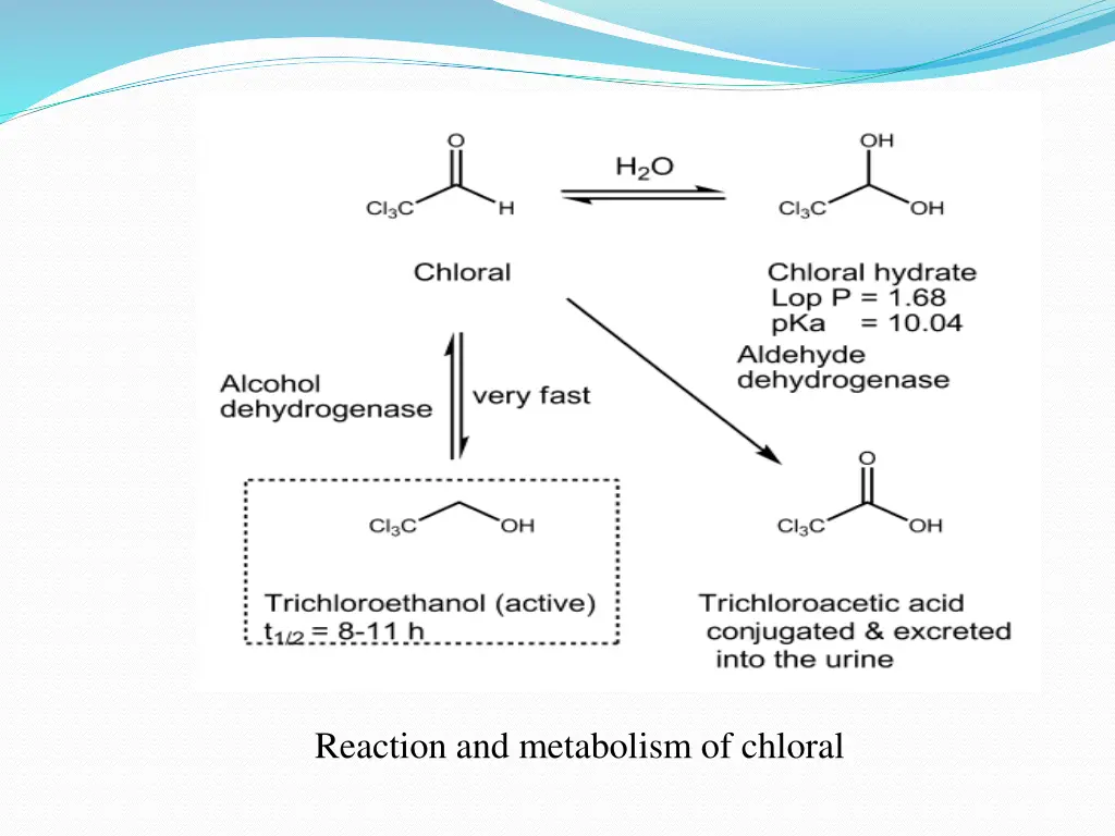 reaction and metabolism of chloral