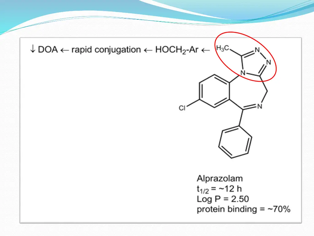 slide20