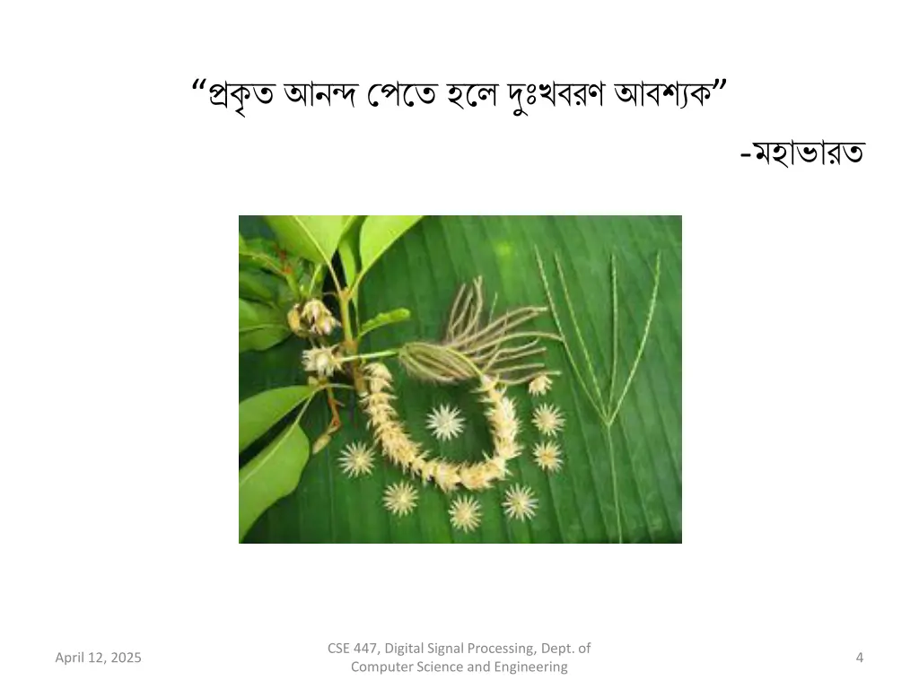 slide4