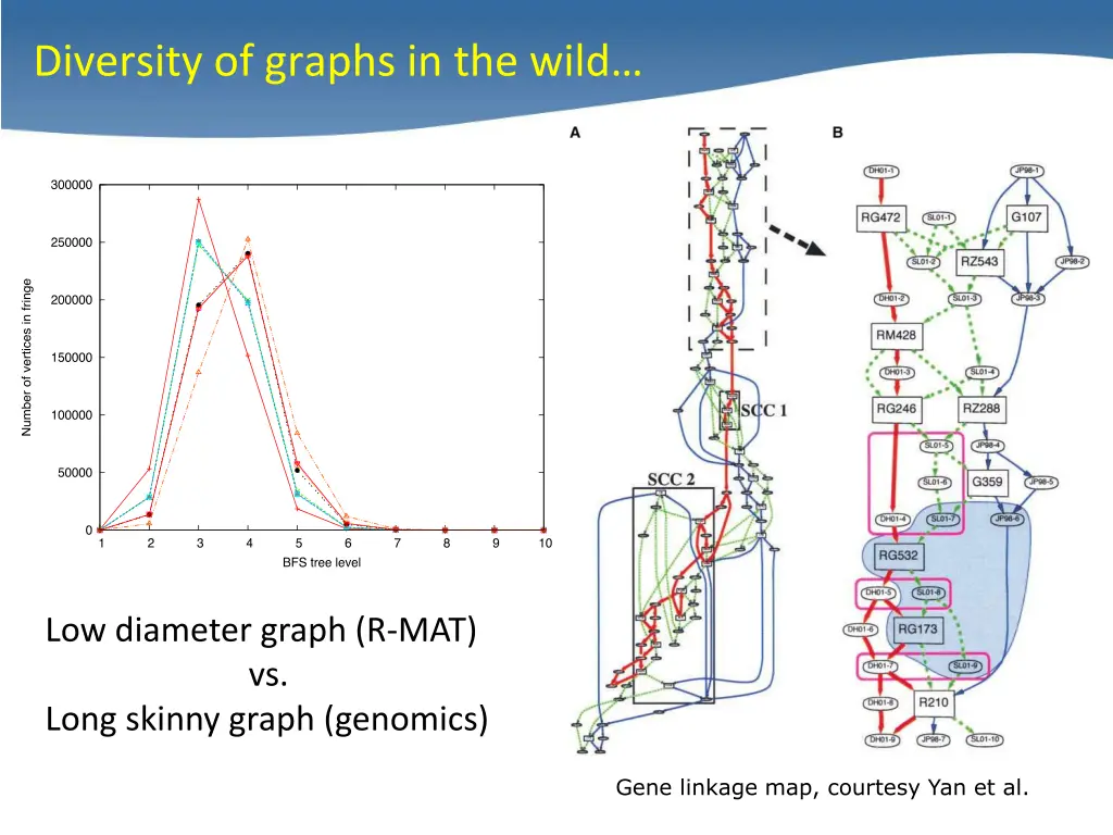 diversity of graphs in the wild