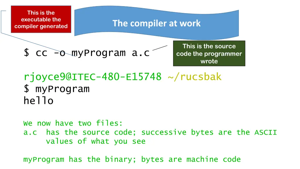 this is the executable the compiler generated