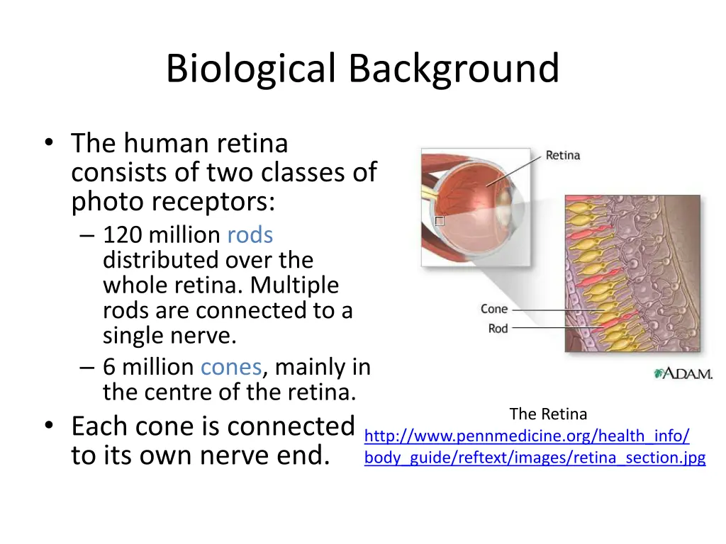 biological background 1