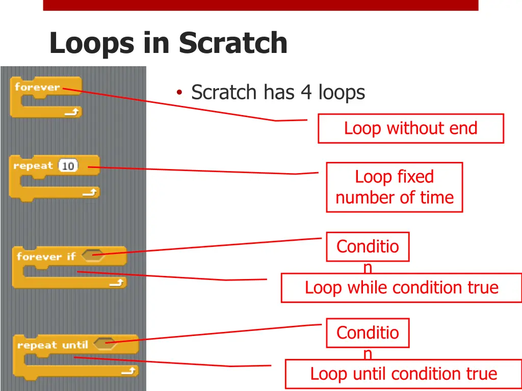 loops in scratch