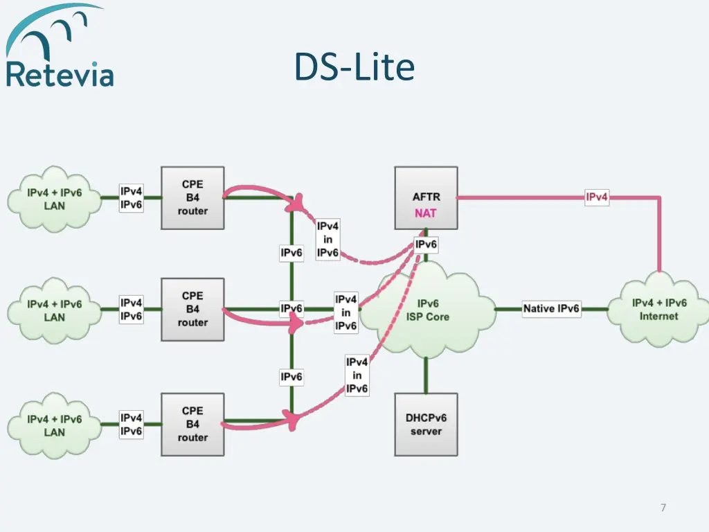 ds lite