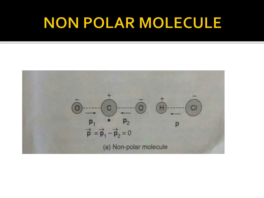 slide10