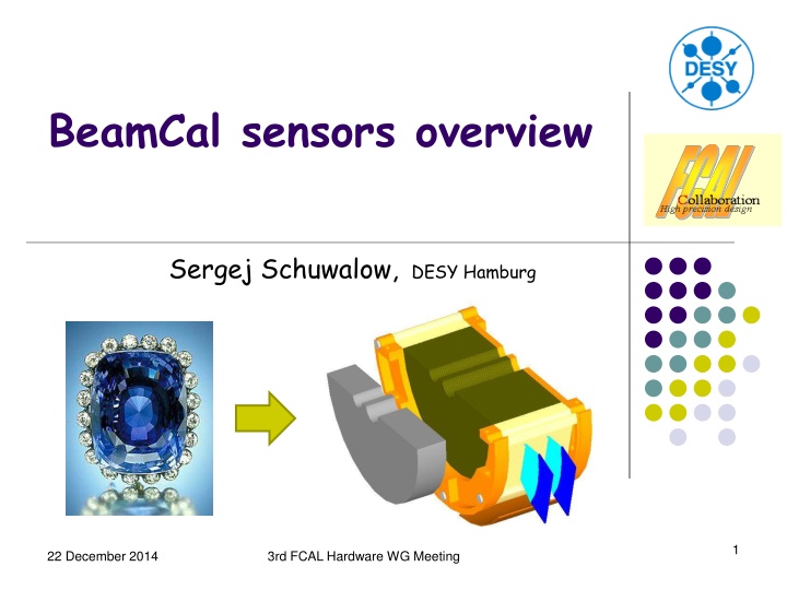 beamcal sensors overview