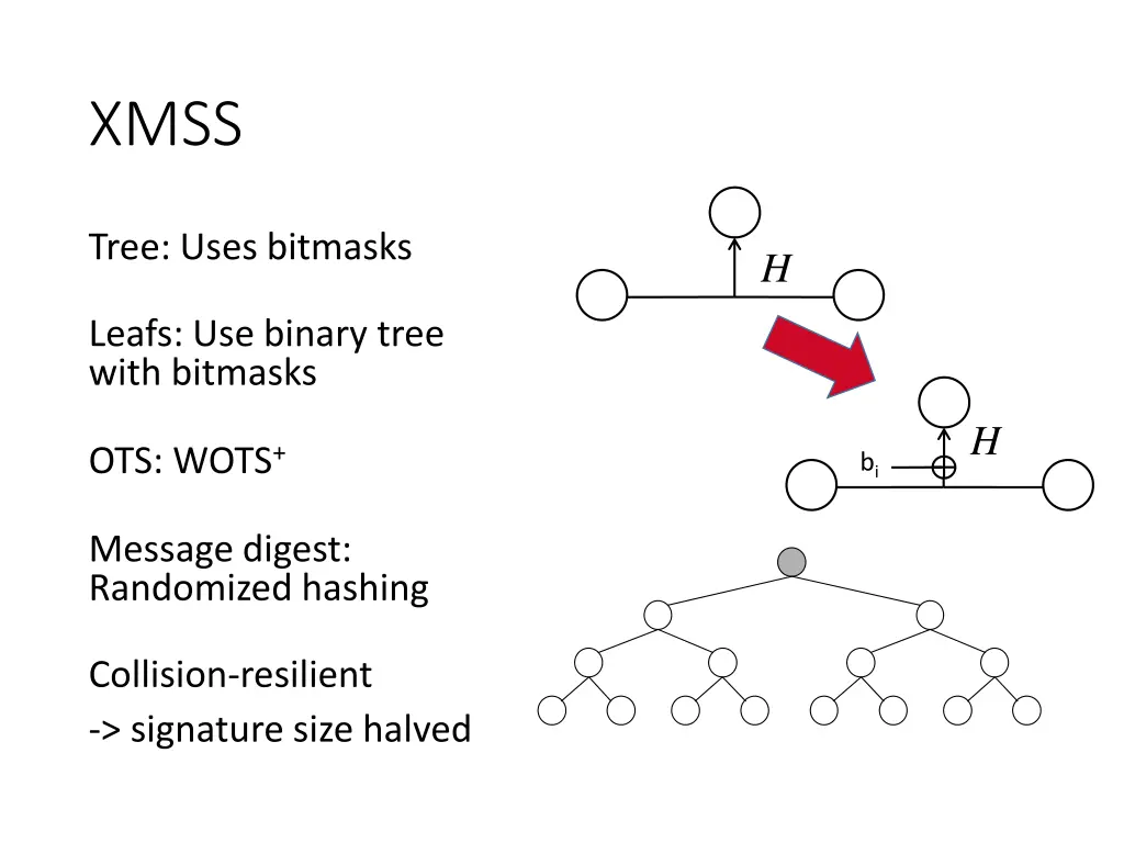 slide11