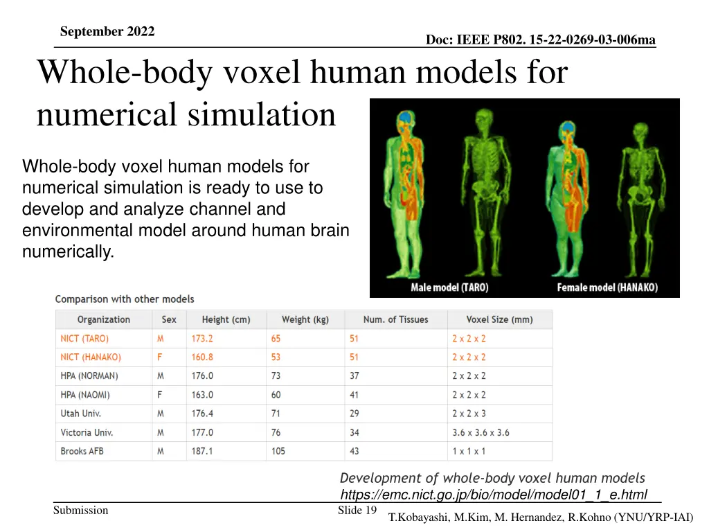 september 2022 whole body voxel human models