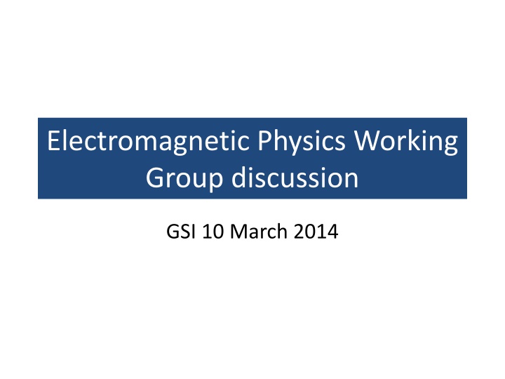 electromagnetic physics working group discussion