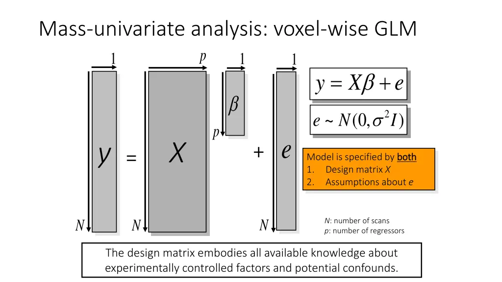 mass univariate analysis voxel wise glm