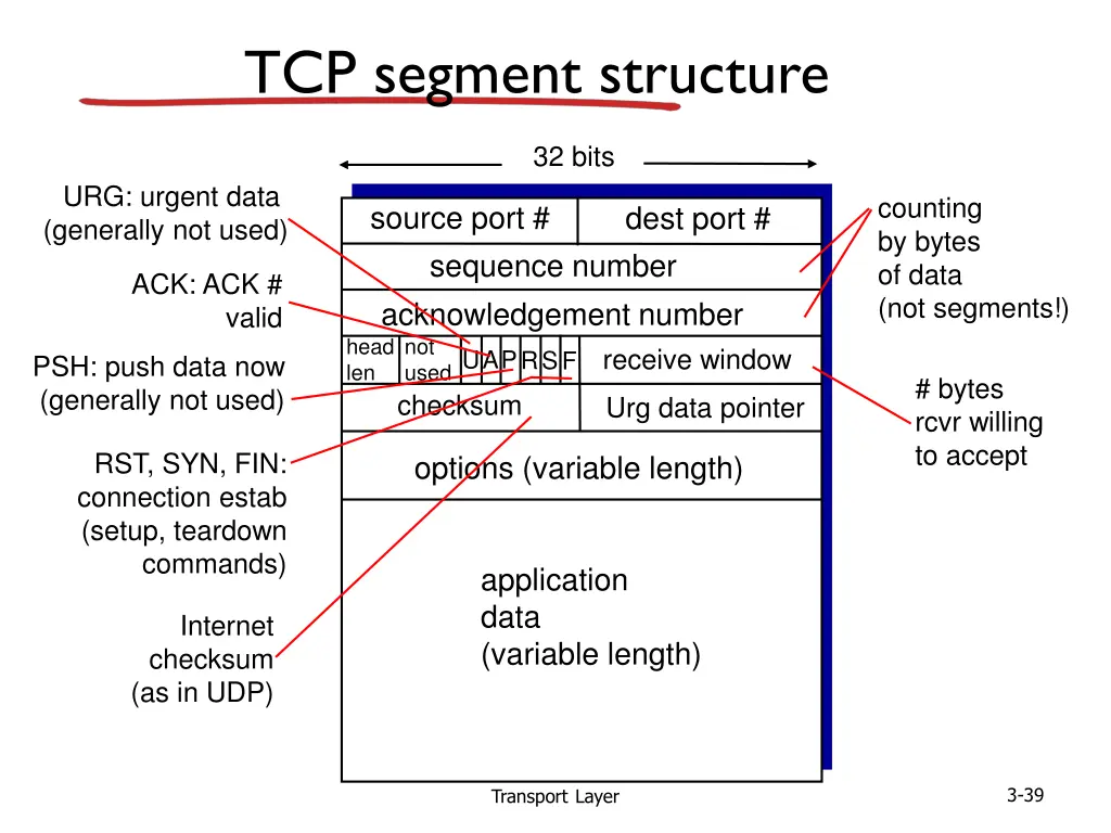 tcp segment structure