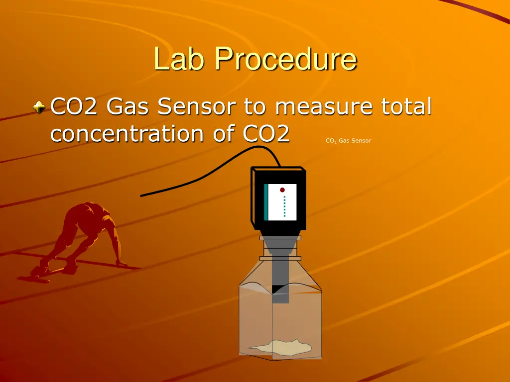 lab procedure