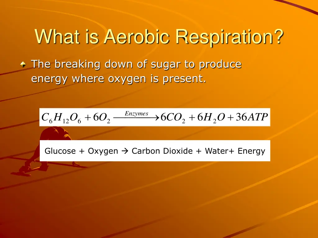 what is aerobic respiration