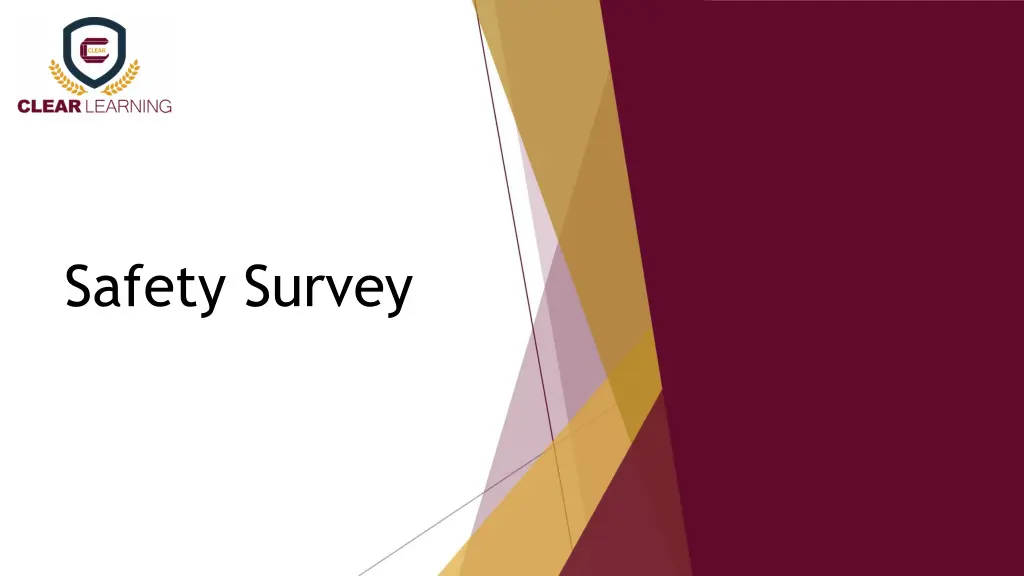 safety survey