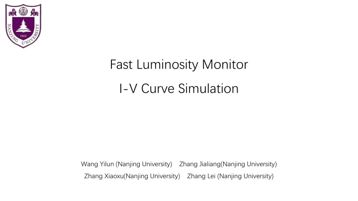 fast luminosity monitor