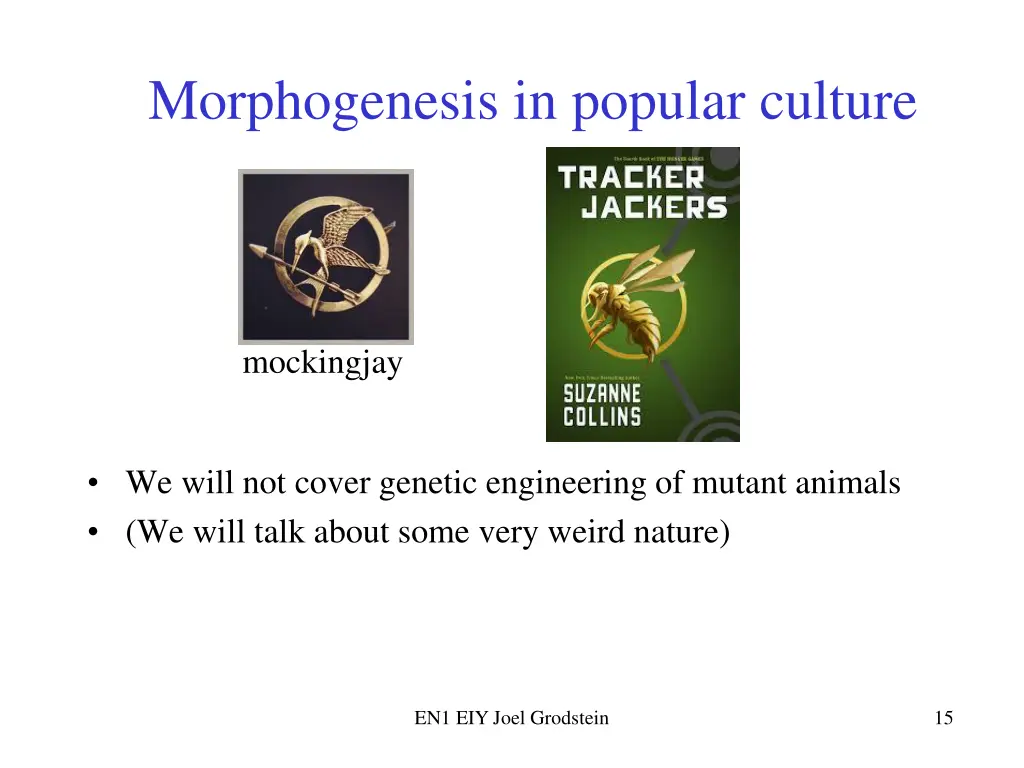morphogenesis in popular culture