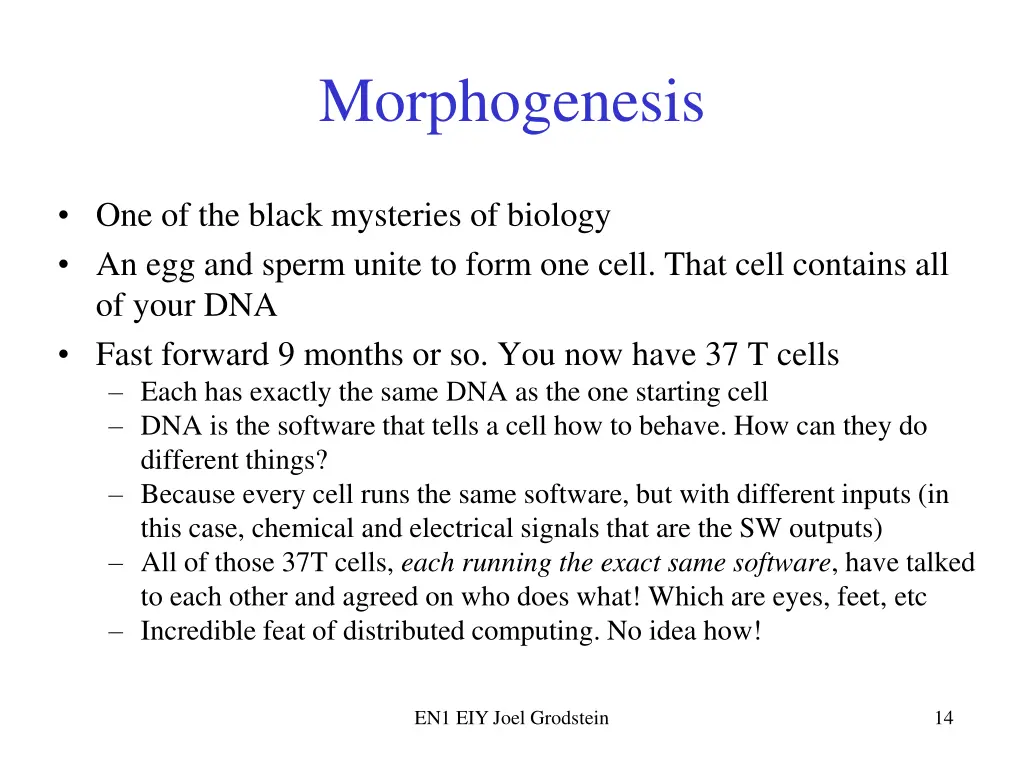 morphogenesis