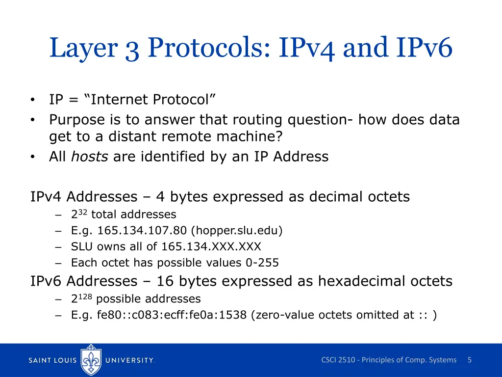 layer 3 protocols ipv4 and ipv6