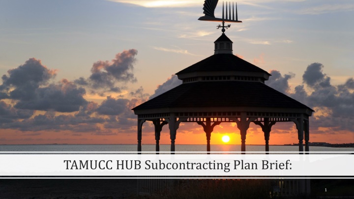 tamucc hub subcontracting plan brief