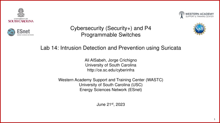 cybersecurity security and p4 programmable