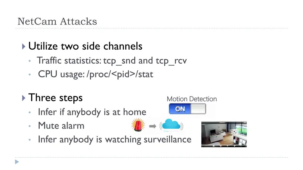 netcam attacks