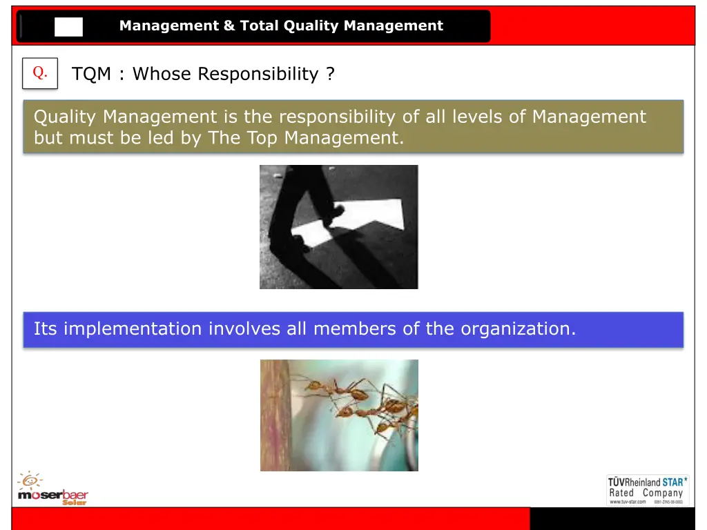 management total quality management 2