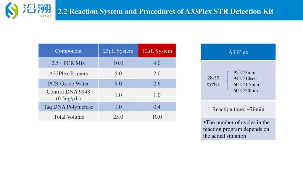 2 2 reaction system and procedures of a33plex
