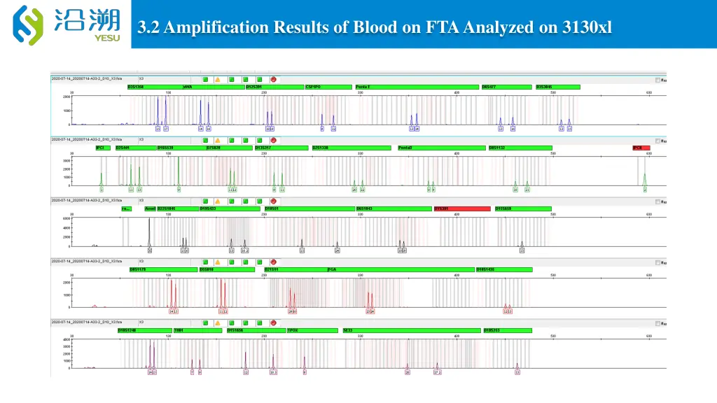 3 2 amplification results of blood