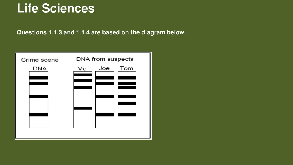 life sciences 1
