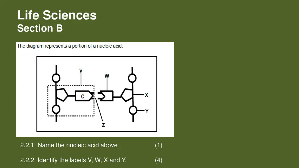 life sciences section b 1