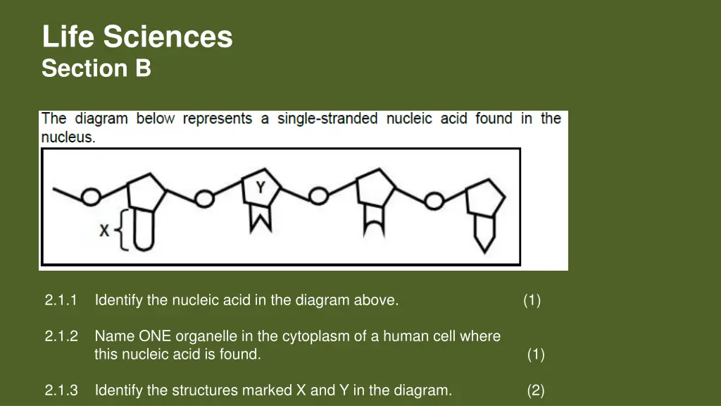 life sciences section b