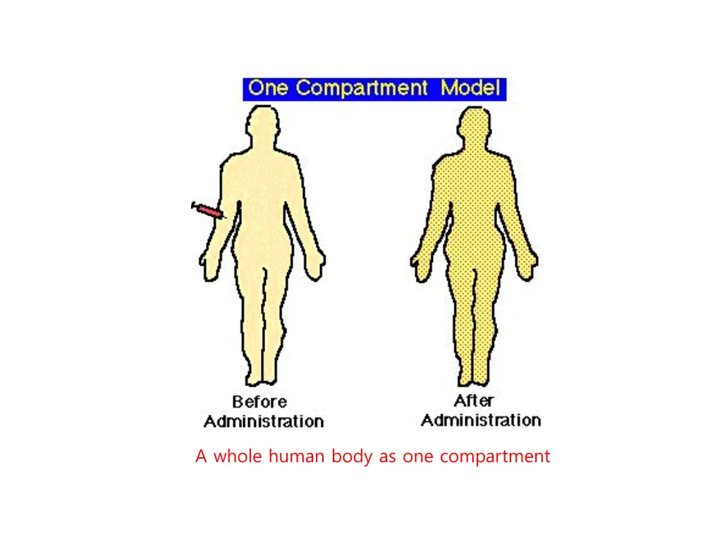 a whole human body as one compartment