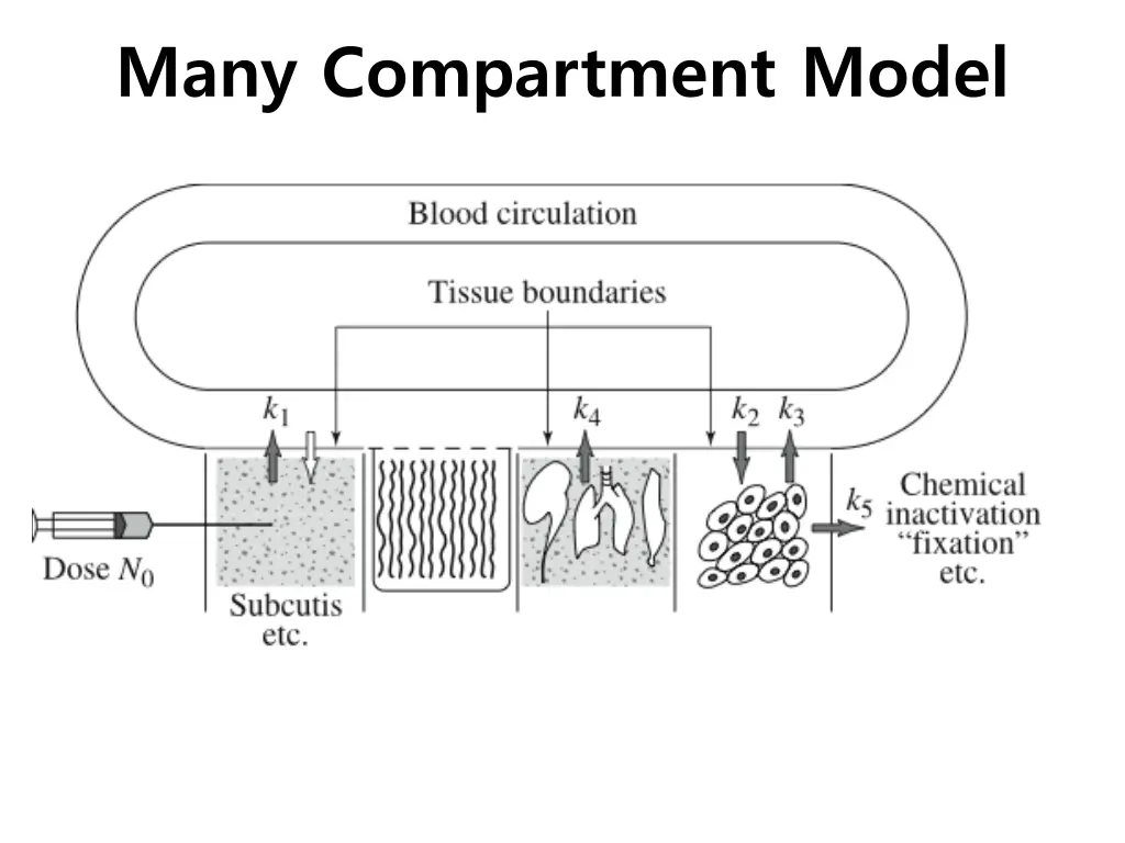 many compartment model