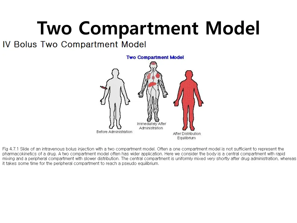 two compartment model 1