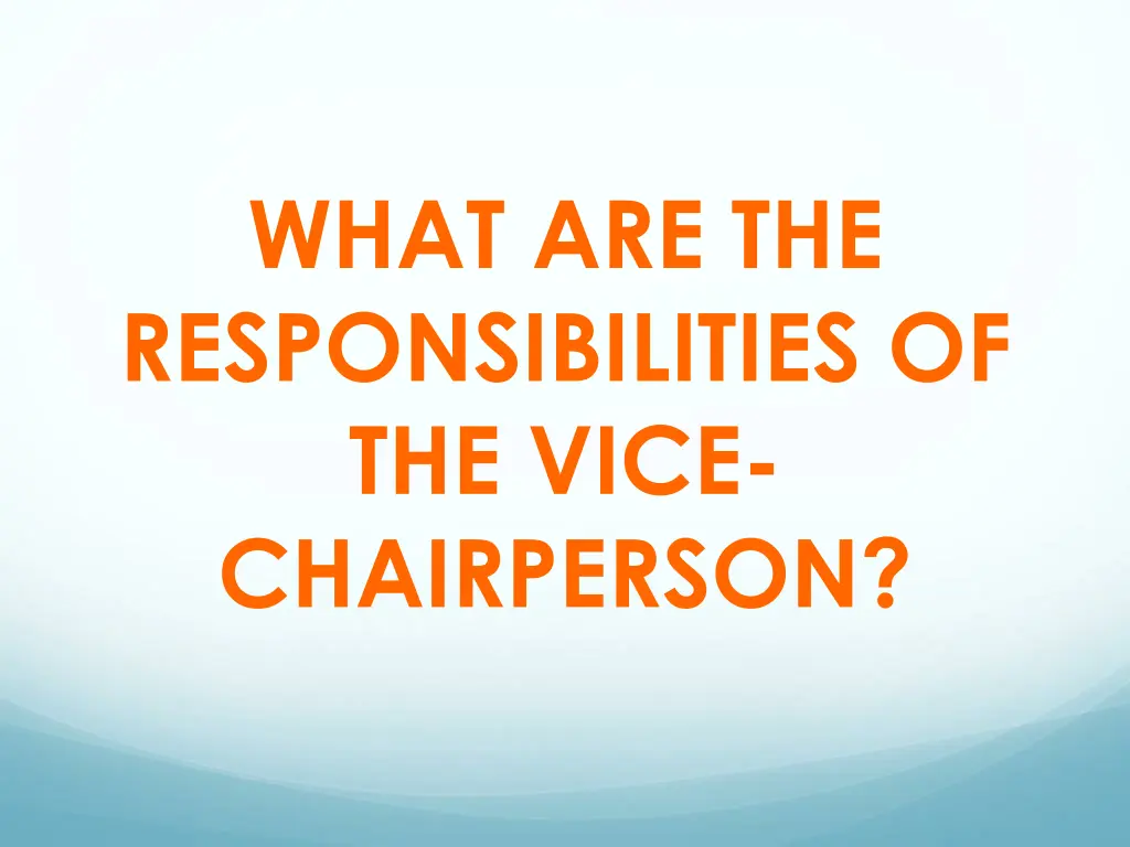 what are the responsibilities of the vice