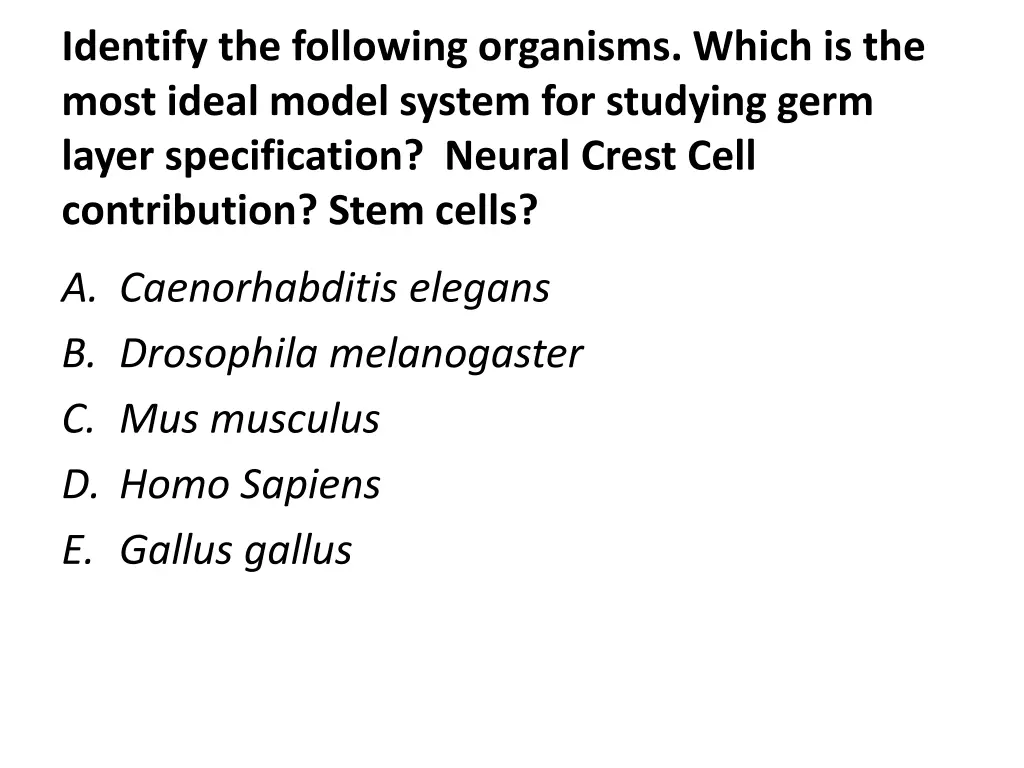 identify the following organisms which