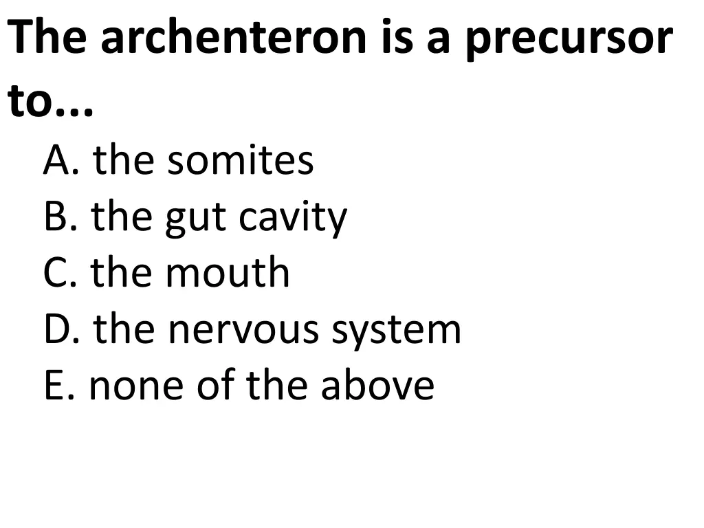 the archenteron is a precursor to a the somites