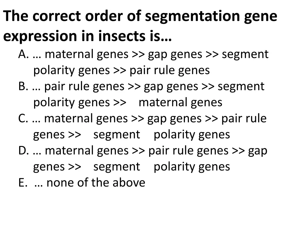 the correct order of segmentation gene expression