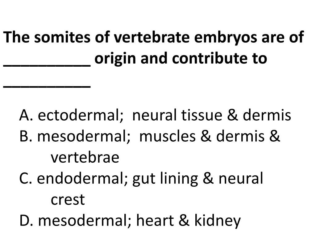 the somites of vertebrate embryos are of origin