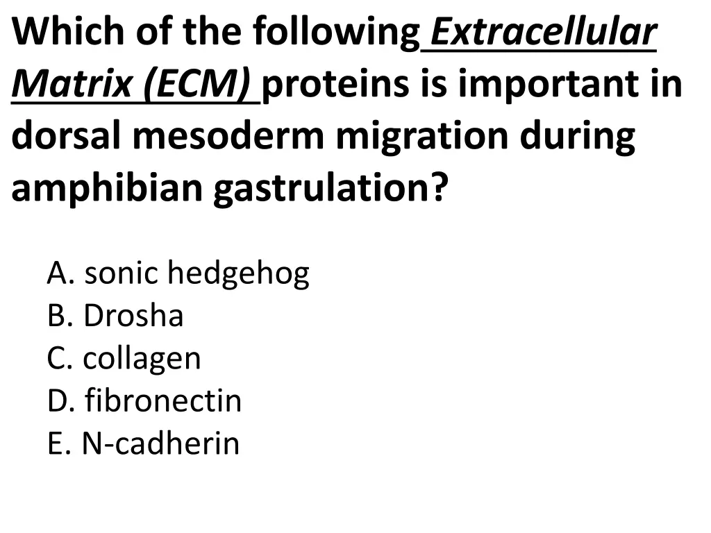 which of the following extracellular matrix