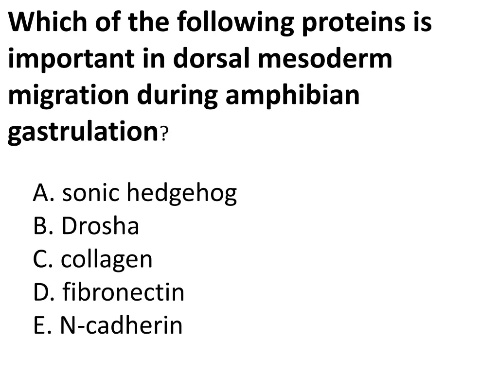 which of the following proteins is important