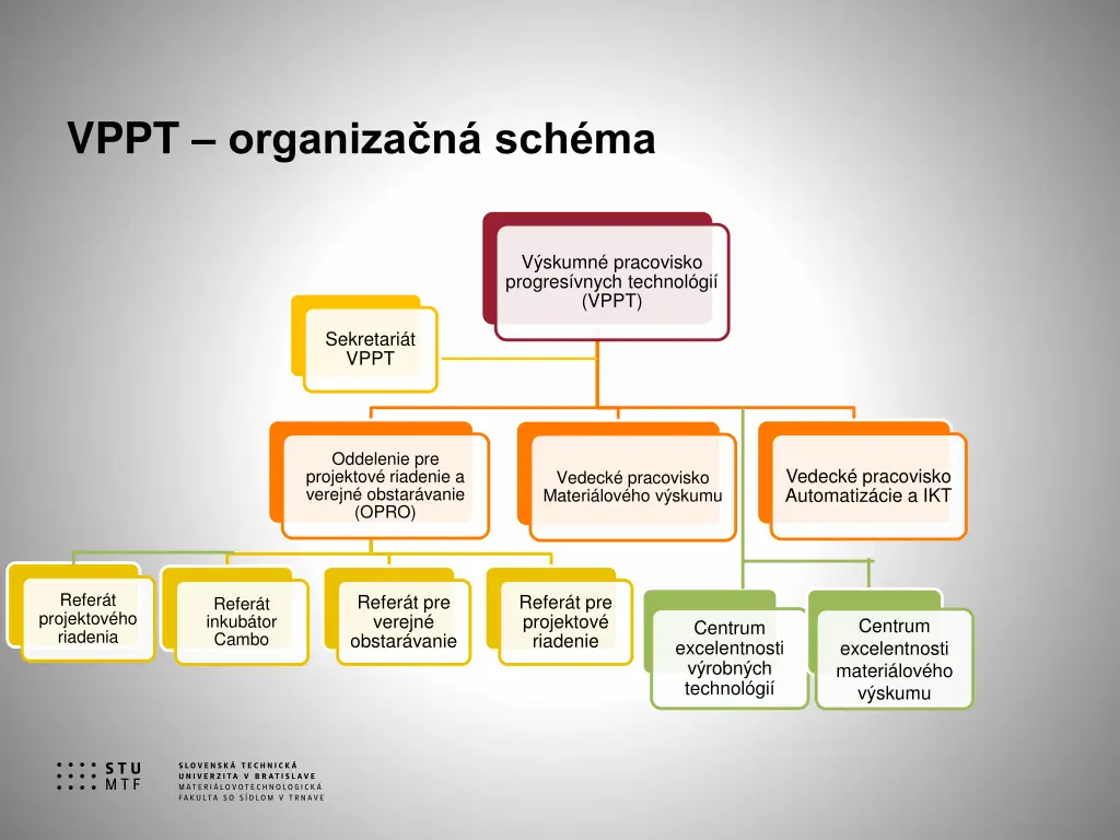 vppt organiza n sch ma